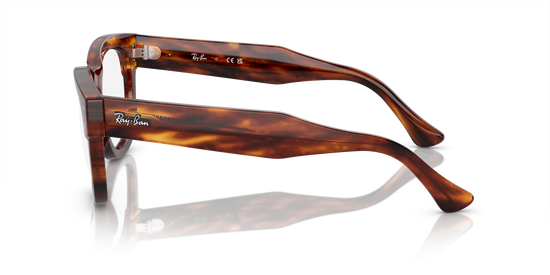 Ray-Ban Mega Hawkeye Eyeglasses RX0298V 2144