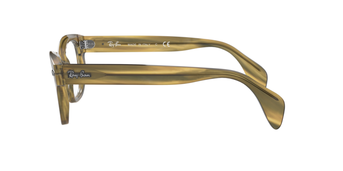 Ray-Ban Eyeglasses RX0880 8056