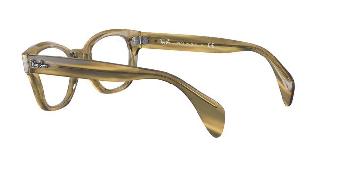 Ray-Ban Eyeglasses RX0880 8056