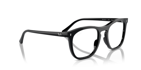 Ray-Ban Eyeglasses RX2210V 2000