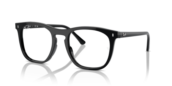 Ray-Ban Eyeglasses RX2210V 2000