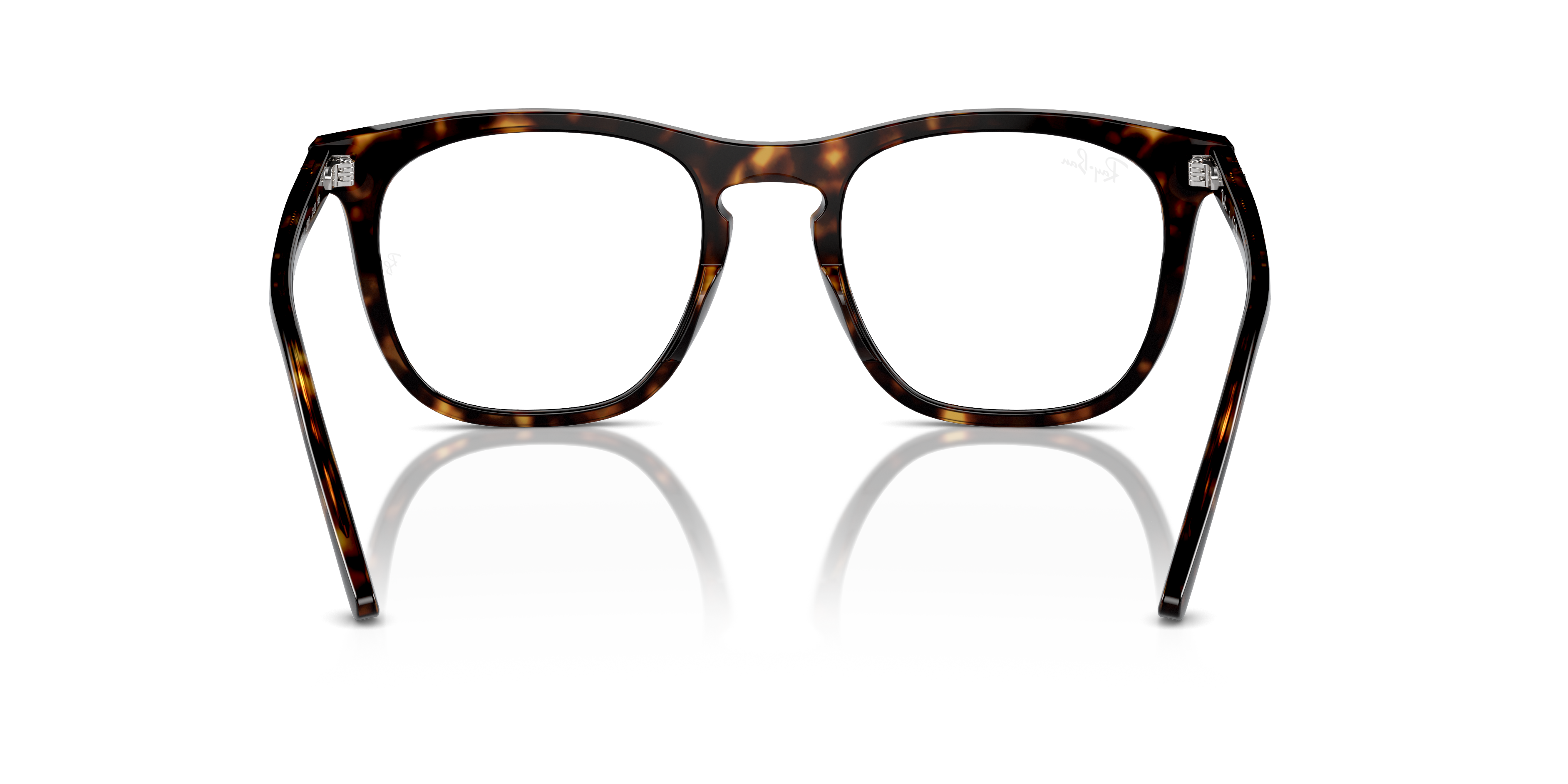 Ray-Ban Eyeglasses RX2210V 2012