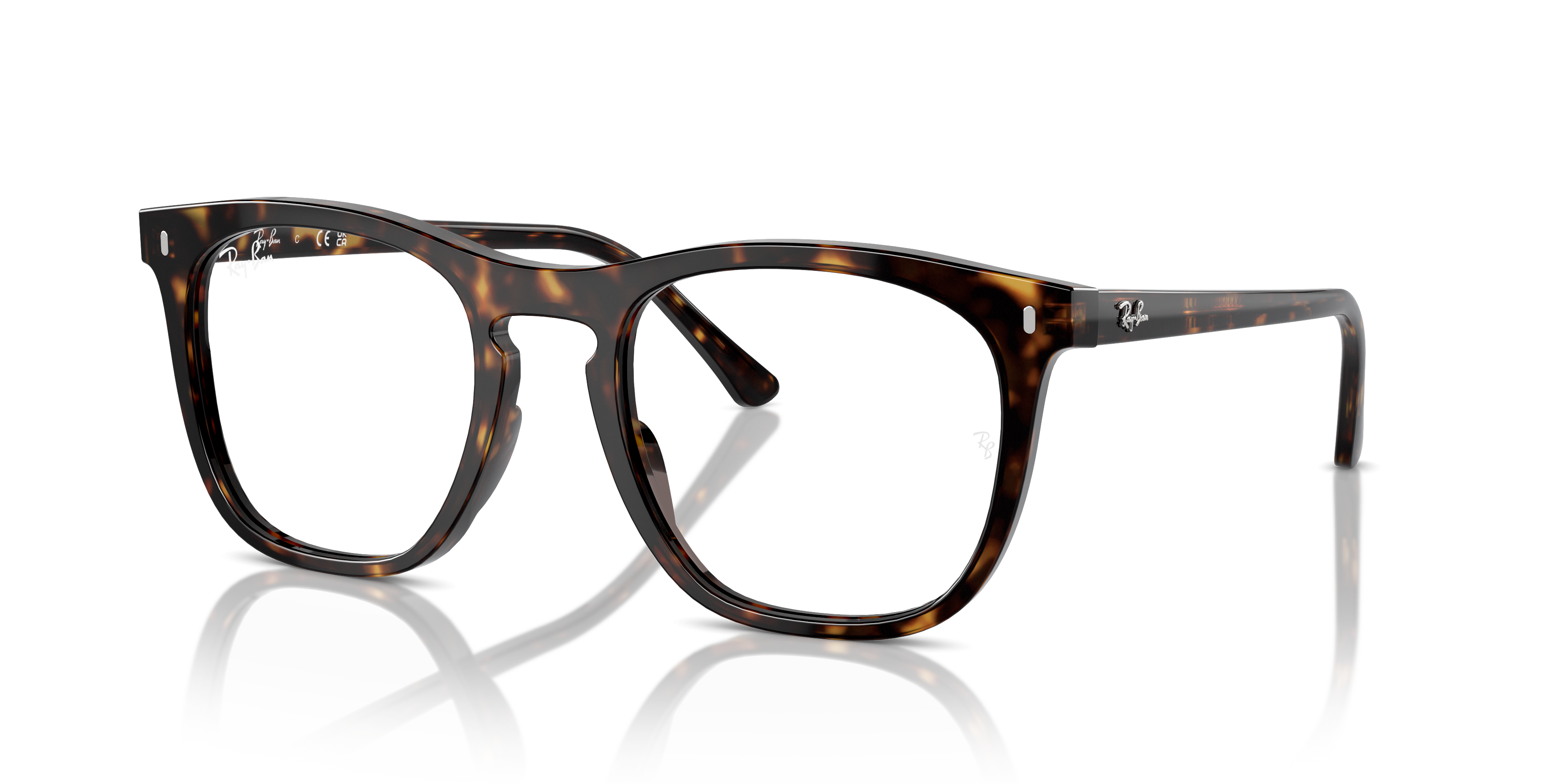 Ray-Ban Eyeglasses RX2210V 2012