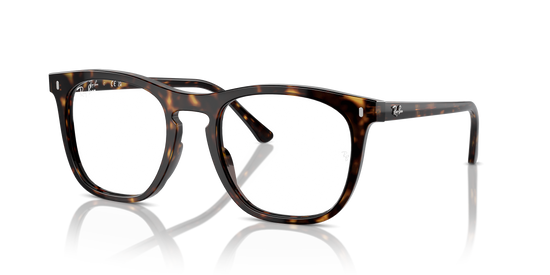 Ray-Ban Eyeglasses RX2210V 2012