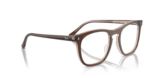 Ray-Ban Eyeglasses RX2210V 8365