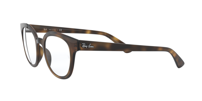 Ray-Ban Eyeglasses RX4324V 2012