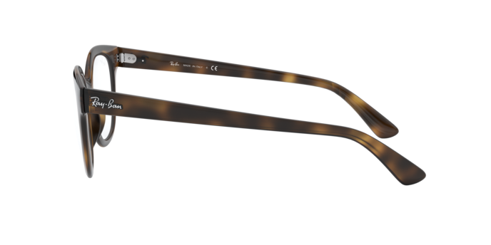 Ray-Ban Eyeglasses RX4324V 2012