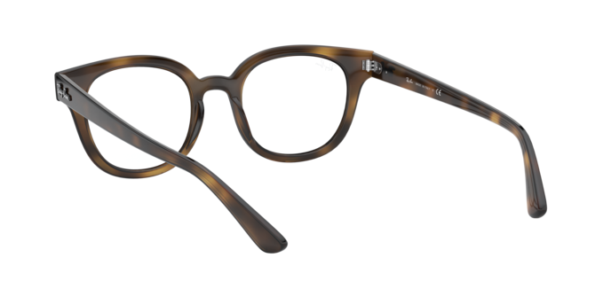 Ray-Ban Eyeglasses RX4324V 2012