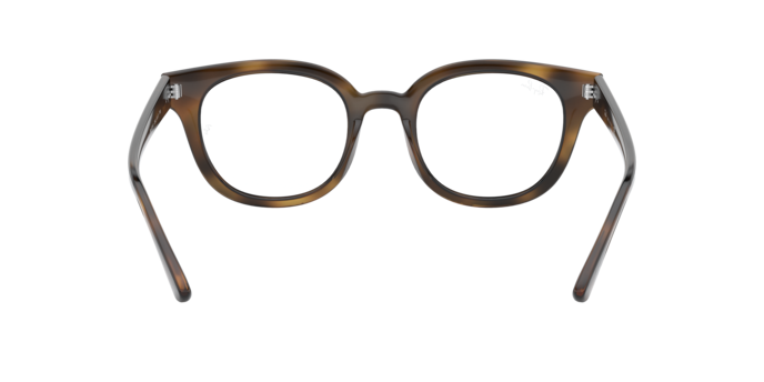 Ray-Ban Eyeglasses RX4324V 2012