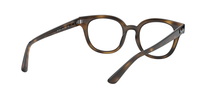 Ray-Ban Eyeglasses RX4324V 2012