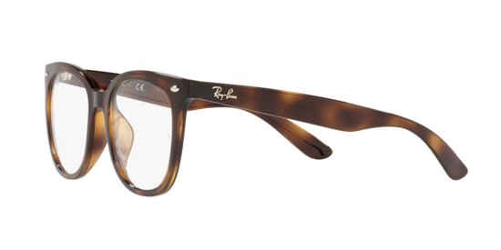 Ray-Ban Eyeglasses RX4379VD 2012