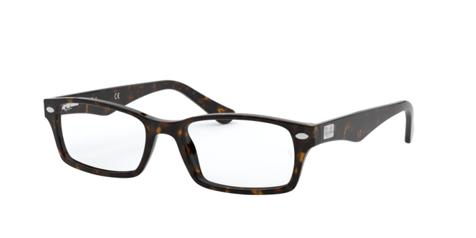 Ray-Ban Eyeglasses RX5206 2012