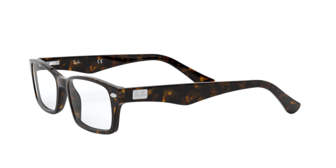 Ray-Ban Eyeglasses RX5206 2012