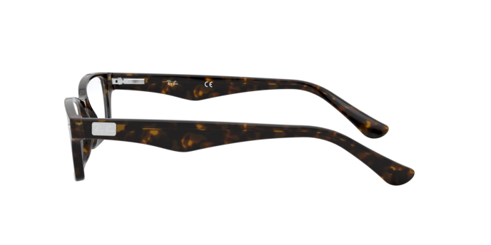 Ray-Ban Eyeglasses RX5206 2012