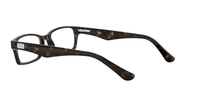 Ray-Ban Eyeglasses RX5206 2012