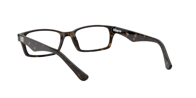 Ray-Ban Eyeglasses RX5206 2012