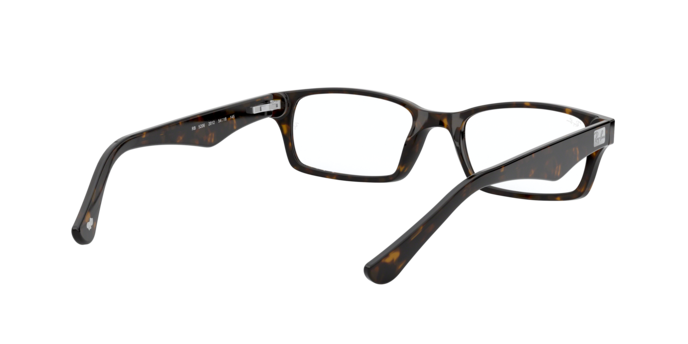 Ray-Ban Eyeglasses RX5206 2012