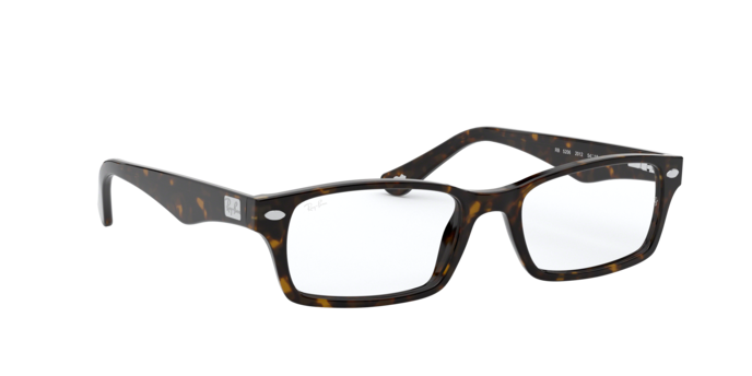 Ray-Ban Eyeglasses RX5206 2012