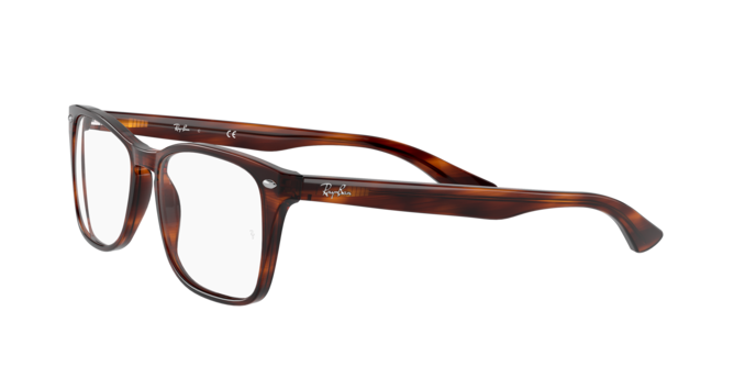 Ray-Ban Eyeglasses RX5228M 2144