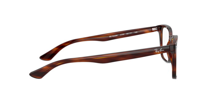 Ray-Ban Eyeglasses RX5228M 2144