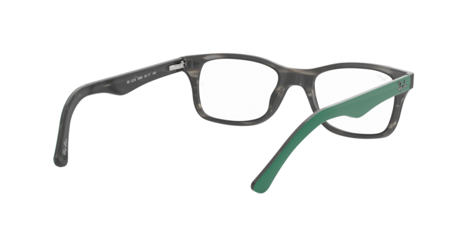 Ray-Ban Eyeglasses RX5228 5800