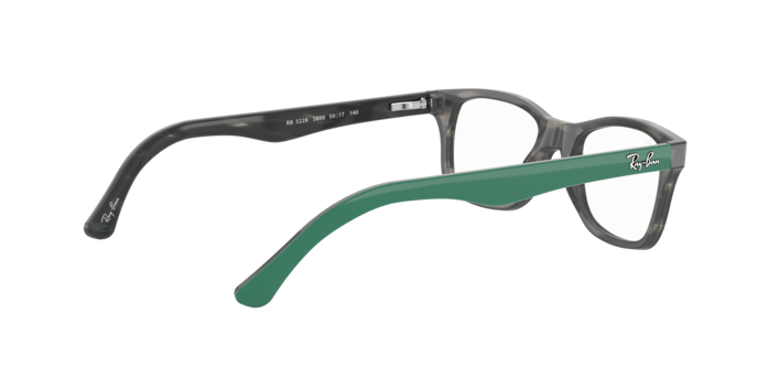 Ray-Ban Eyeglasses RX5228 5800