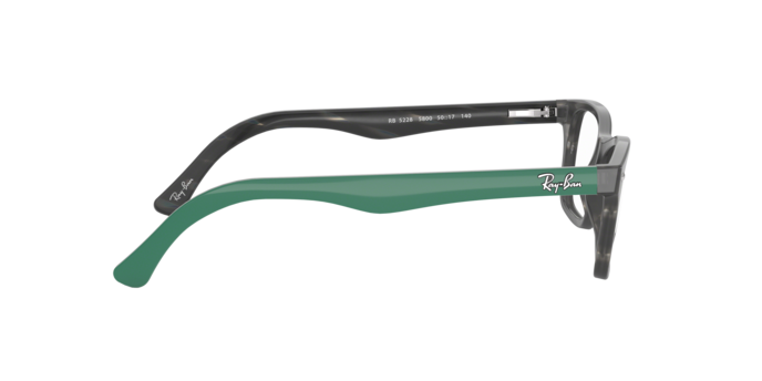 Ray-Ban Eyeglasses RX5228 5800