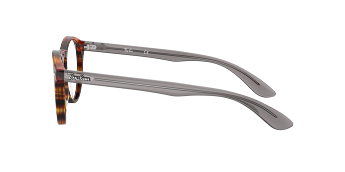 Ray-Ban Eyeglasses RX5283 5607