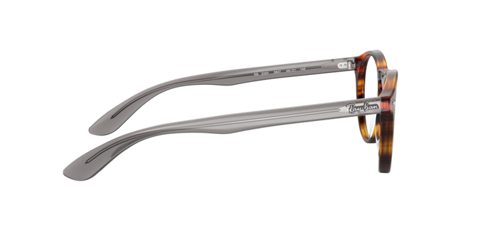 Ray-Ban Eyeglasses RX5283 5607