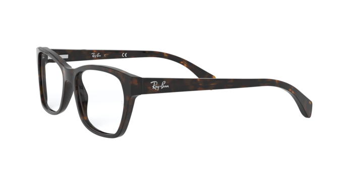 Ray-Ban Eyeglasses RX5298 2012