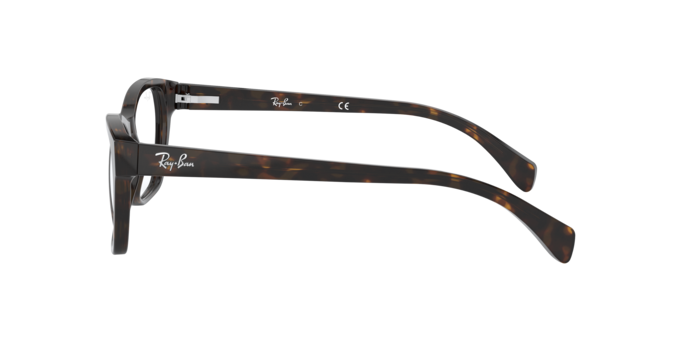 Ray-Ban Eyeglasses RX5298 2012