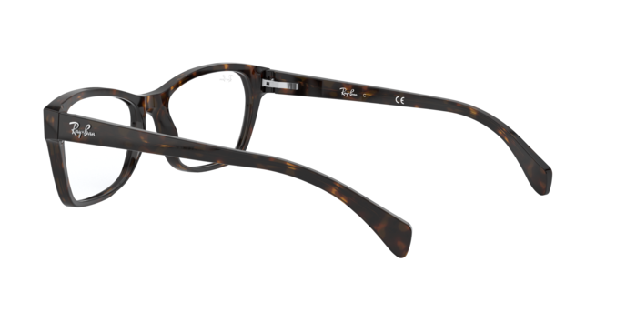 Ray-Ban Eyeglasses RX5298 2012