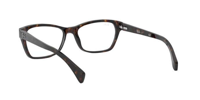Ray-Ban Eyeglasses RX5298 2012