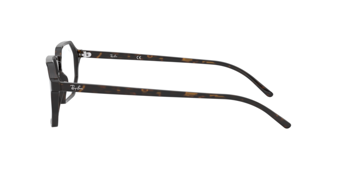 Ray-Ban Eyeglasses RX5370 2012