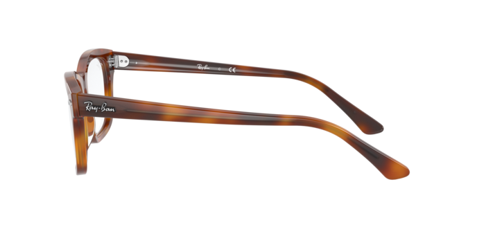 Ray-Ban Mr Burbank Eyeglasses RX5383 5944