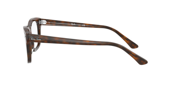 Ray-Ban Mr Burbank Eyeglasses RX5383 5945