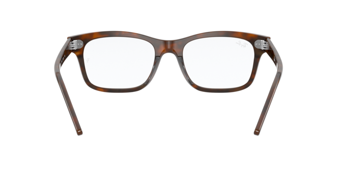 Ray-Ban Mr Burbank Eyeglasses RX5383 5945