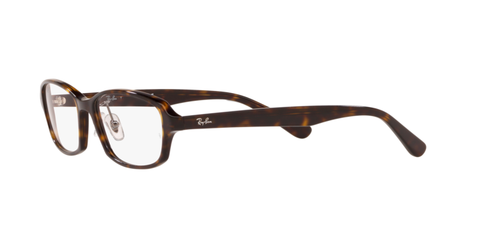 Ray-Ban Eyeglasses RX5385D 2012