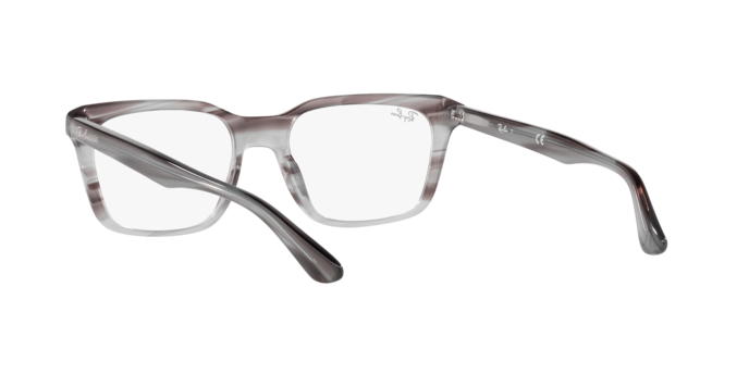 Ray-Ban Eyeglasses RX5391 8055