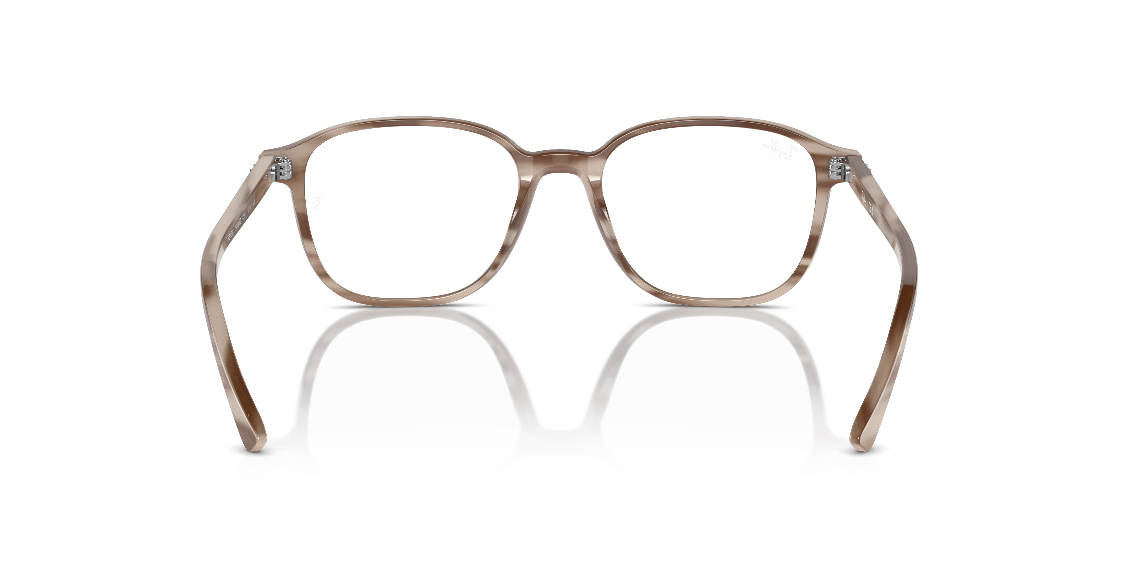 Ray-Ban Leonard Eyeglasses RX5393 8357