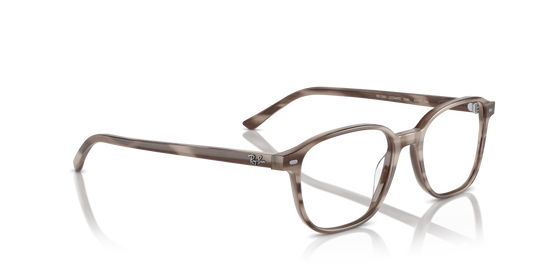 Ray-Ban Leonard Eyeglasses RX5393 8360