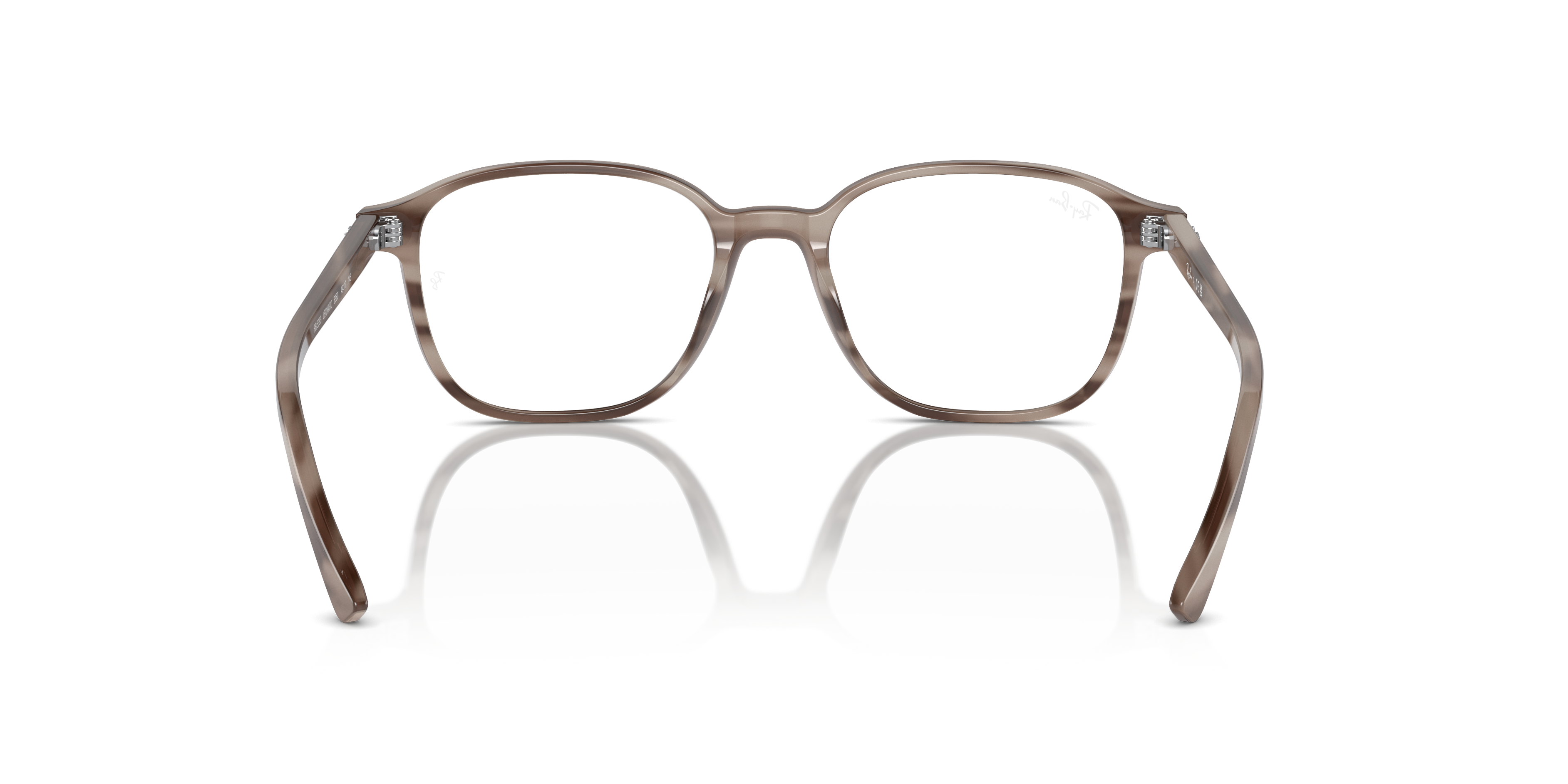 Ray-Ban Leonard Eyeglasses RX5393 8360