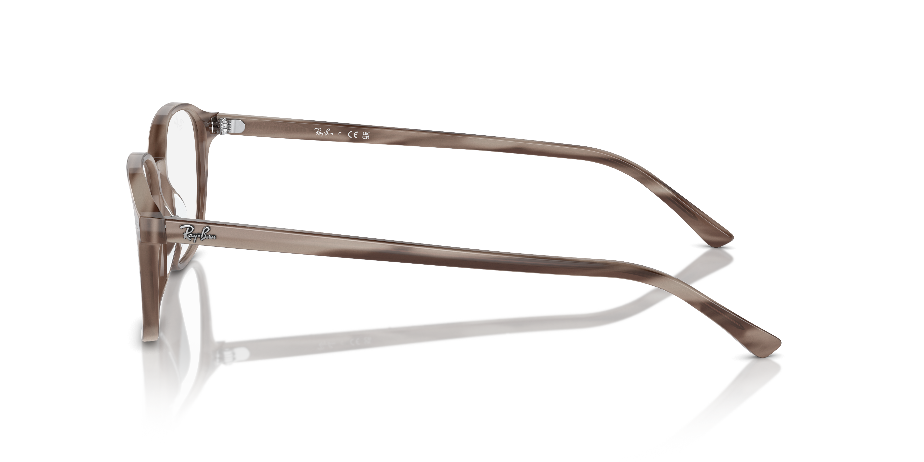 Ray-Ban Leonard Eyeglasses RX5393 8360