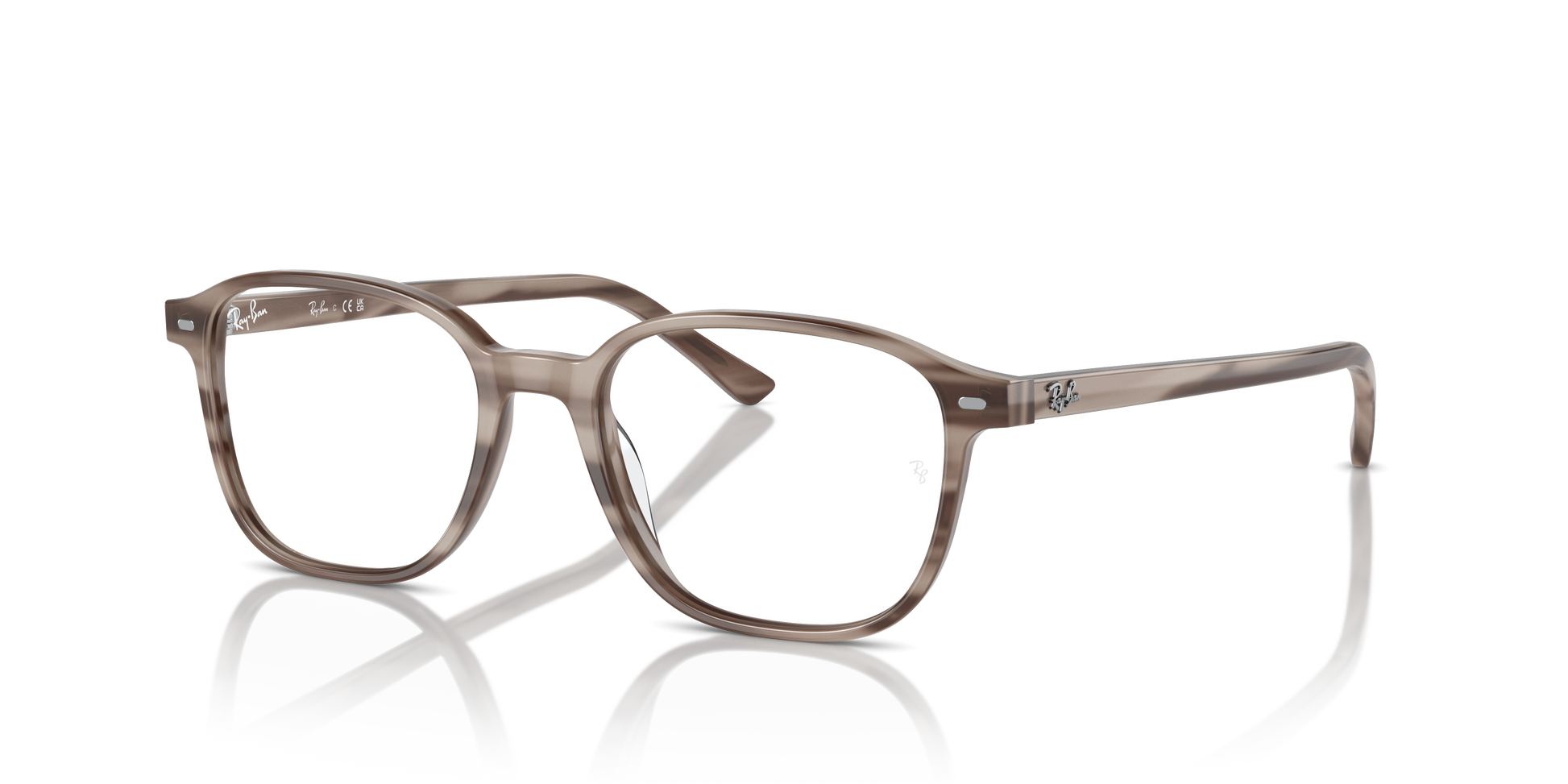 Ray-Ban Leonard Eyeglasses RX5393 8360