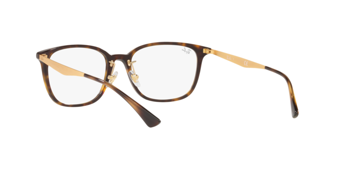 Ray-Ban Eyeglasses RX5403D 2012