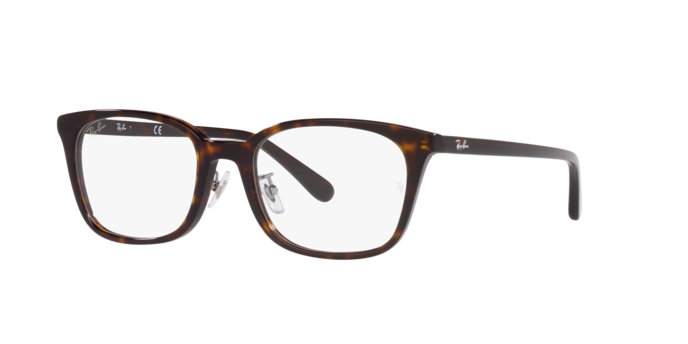 Ray-Ban Eyeglasses RX5407D 2012