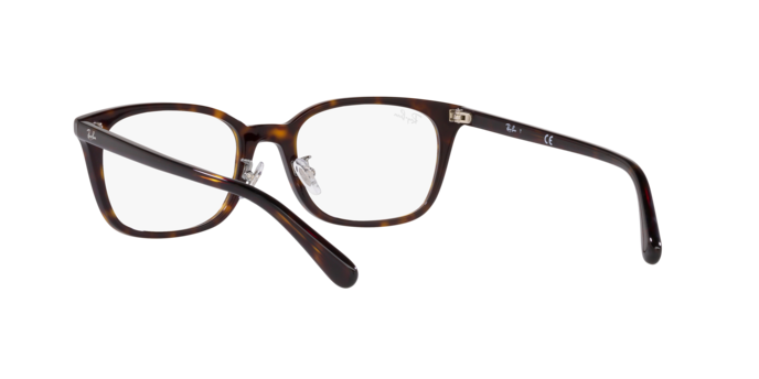 Ray-Ban Eyeglasses RX5407D 2012