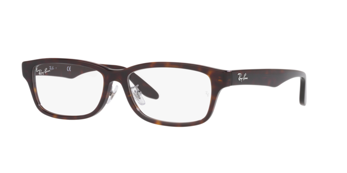 Ray-Ban Eyeglasses RX5408D 2012