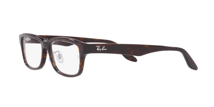 Ray-Ban Eyeglasses RX5408D 2012