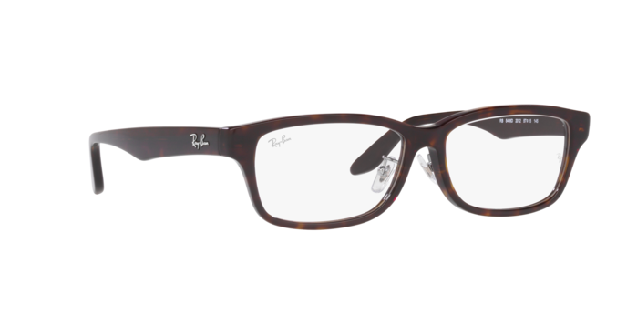 Ray-Ban Eyeglasses RX5408D 2012